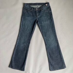 X2 Denim Lab W10 Flare Leg Denim Jeans Low Waist Women’s Size 10